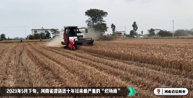 麦收大会战！Z6官网收成机忙！忙！忙！