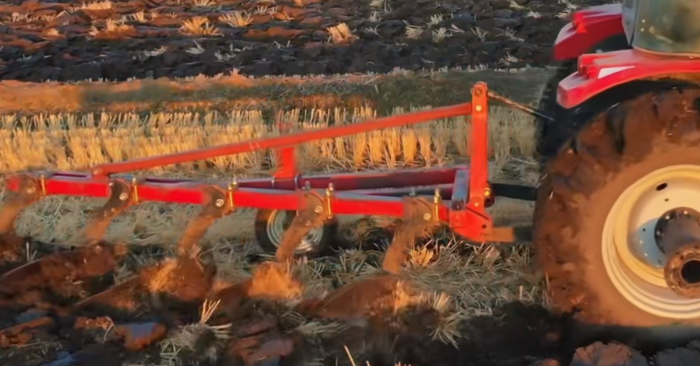 cd370de6ba0a44c799778d4d39b88a2b