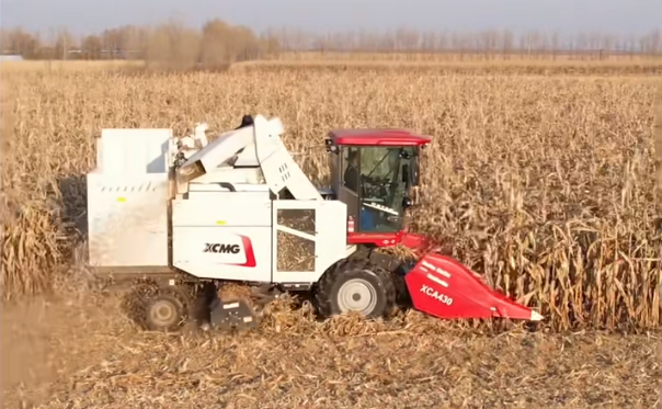 0dd94464a054450baba55ae2b1cd4453