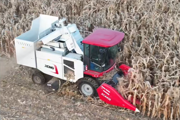 4109fae646b54a90a3176c12d58e5244