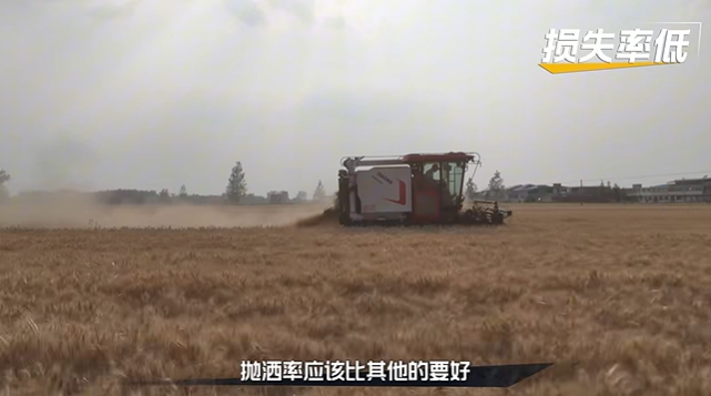 40e35c9ab5d6459eb6a203670e18680f