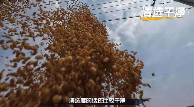 d6d89443353d42aa813ea484164ea881