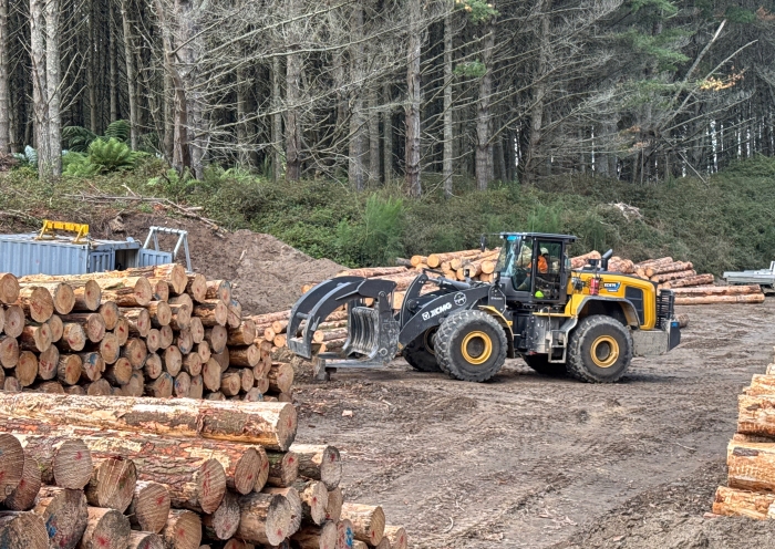 19e10fb45f8646a09f28294de08056af