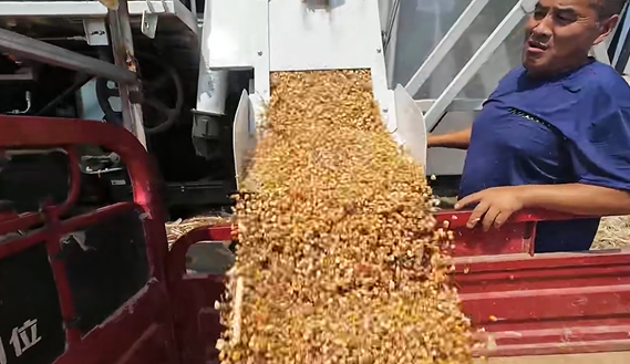 首页- Z6官网中国区人生就是博